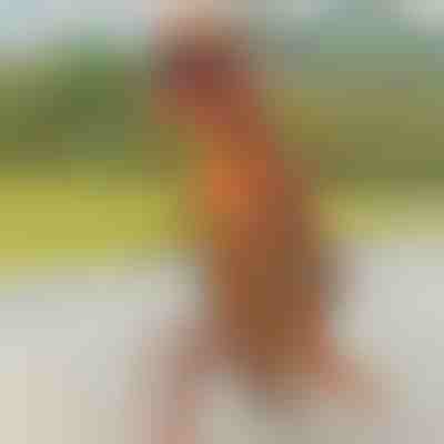 Dinoszaurusz felfújható jelmez | TREXCOS